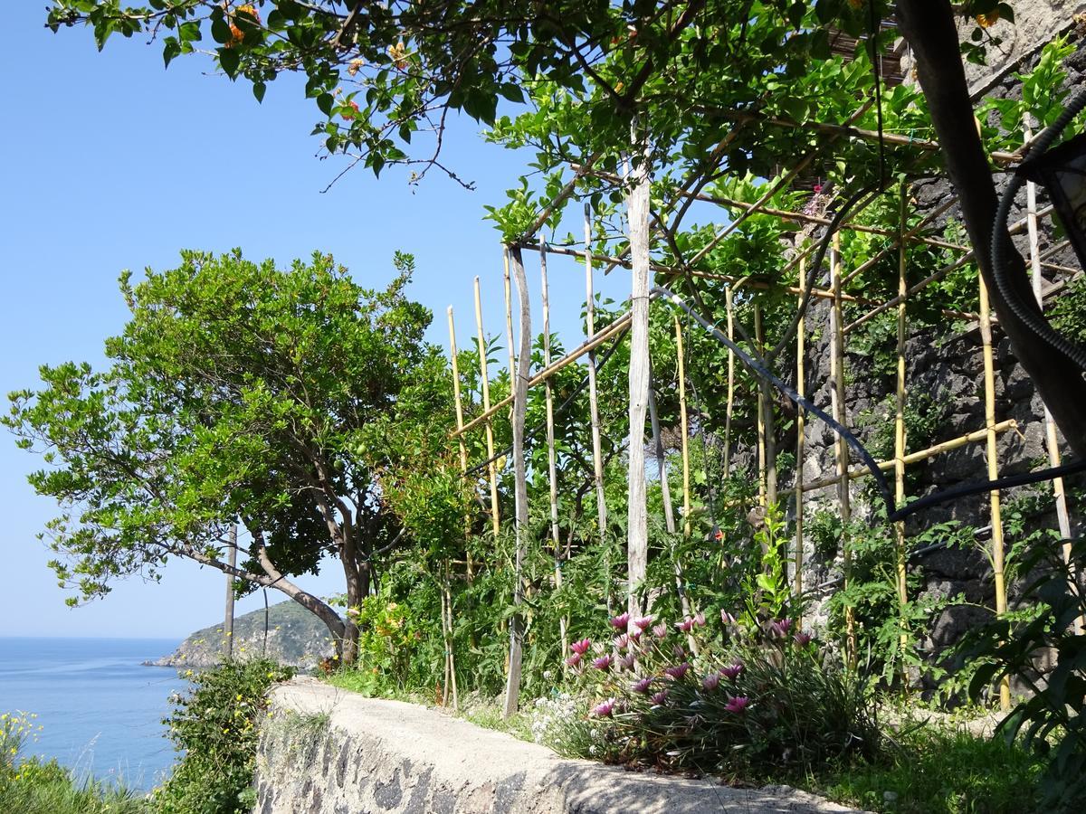 Casa Antonio Bed & Breakfast Barano d'Ischia Exterior photo