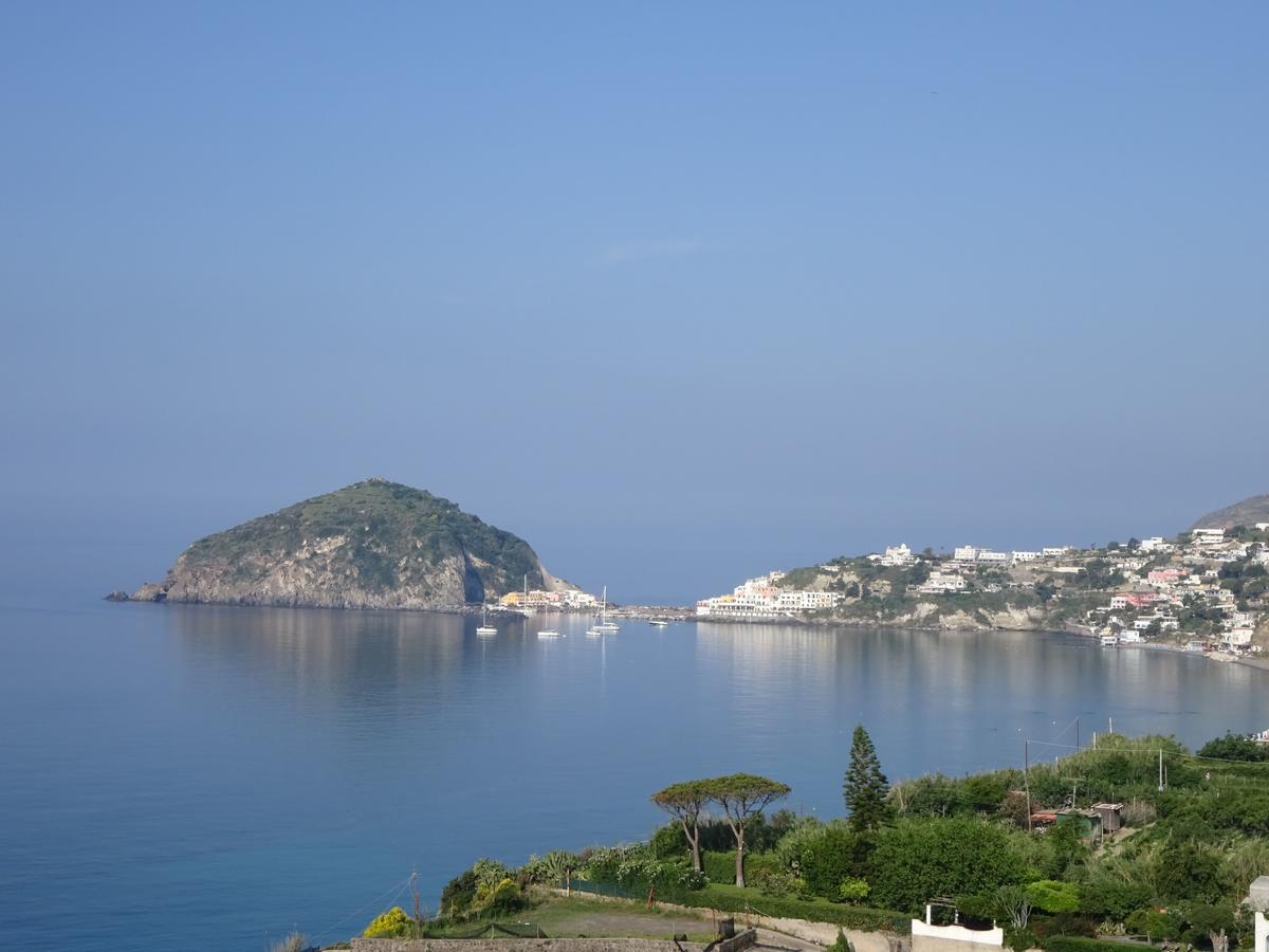 Casa Antonio Bed & Breakfast Barano d'Ischia Exterior photo